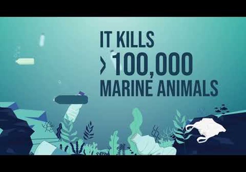 Video Production Package Example: Protecting the planet from plastic