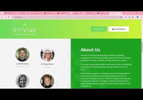 Web Development Package Example: Wordpress theme Customization