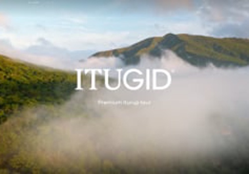 Branding Package Example: Itugid branding and website