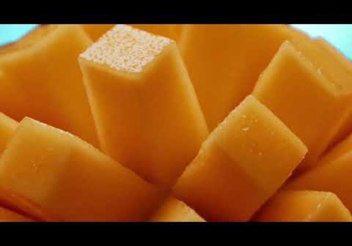 Video Production Package Example: Fruitien DVC | SPEC Commercial