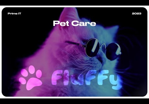 Web Development Package Example: Fluffy