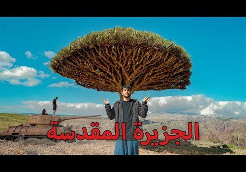 Video Production Package Example: Travel Documentary Shoot | Socotra Island | Yemen