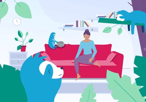 Video Production Package Example: Explainer video for SlothMove