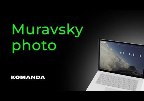 Custom Software Development Package Example: Muravsky photo