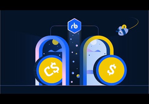 Video Production Package Example: RemitBee - Money Transfer | Animated Explainer Vid