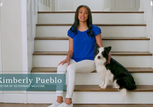 Video Production Package Example: The Anatomy of a Perfect Walk