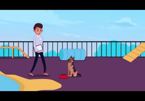 Advertising Package Example: K9 Cabana Dog Training Center