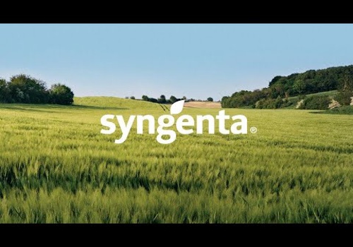 AR/VR Development Package Example: VR || 360 VIDEO OF SYNGENTA LAB