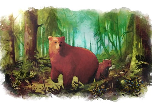 Video Production Package Example: Project with The State Forests