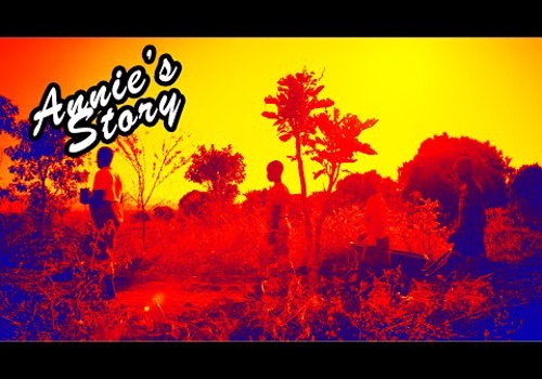 Video Production Package Example: "Annie's Story," MCC in Malawi