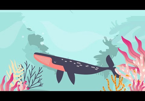 Video Production Package Example: Simbi Reading Platform