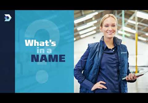 Web Design Package Example: Demanko Word Press website, SEO and videos