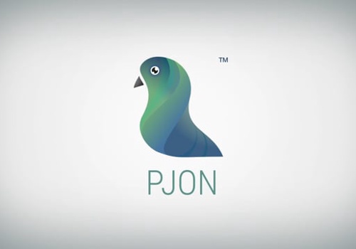 Video Production Package Example: PJON Strategies