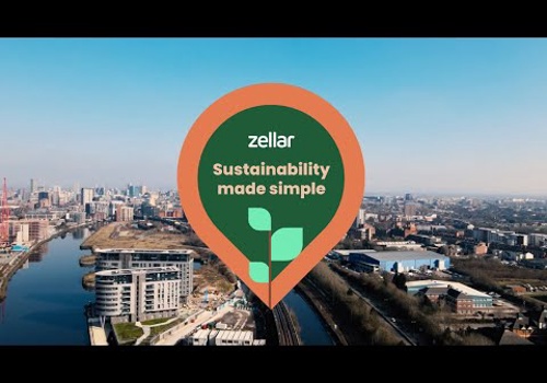 Custom Software Development Package Example: Zellar Platform