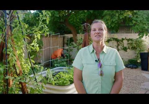 Advertising Package Example: IntuNature