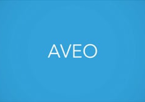 Video Production Package Example: Explainer Video for Aveo