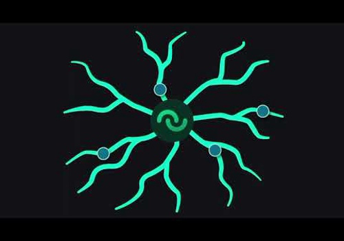 Video Production Package Example: Animated Explainer Video for Lead Draft - Real-Tim