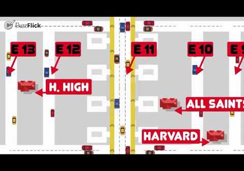 Video Production Package Example: Red Bud