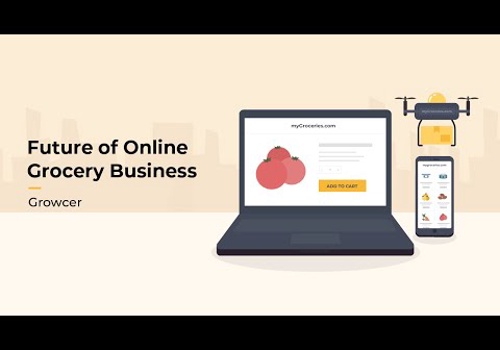 Custom Software Development Package Example: Future of Online Grocery Delivery Business