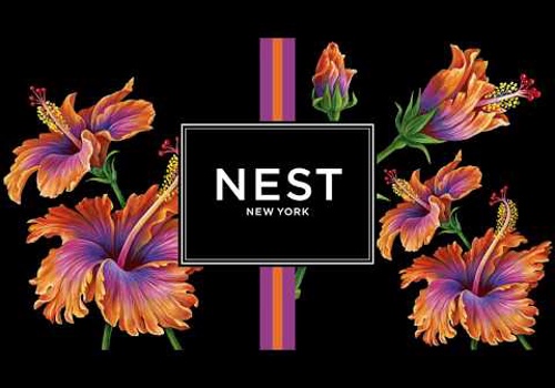 E-Commerce Development Package Example: Nest New York: Shopify Plus Migrations