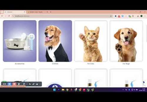 Social Media Marketing Package Example: Website Development and Social Media Marketing