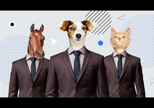 Video Production Package Example: Cequence Explainer Video