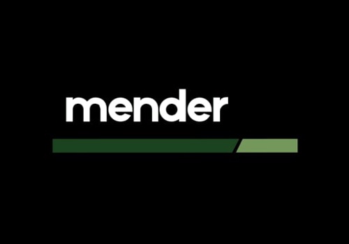 Web Design Package Example: mender