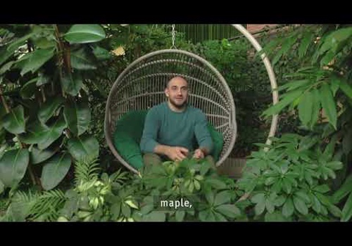 Advertising Package Example: Employer Branding Services // Jooble