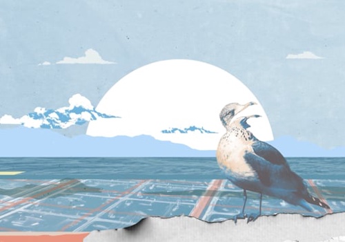 Advertising Package Example: Naqua