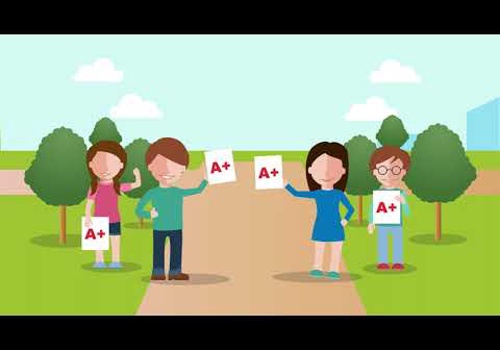 Video Production Package Example: Weduc SaaS Video Series