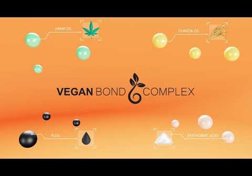 Video Production Package Example: 3D Animated ad for Vegabond