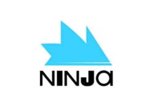 Branding Package Example: NINJA Rebrand