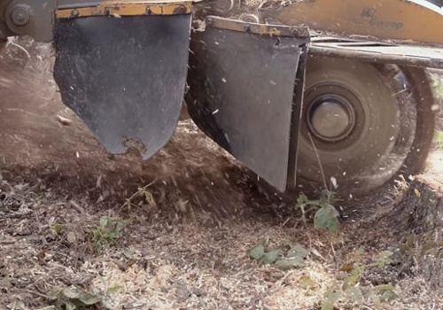 Video Production Package Example: J Messina Stump Grinding - Social Media Video