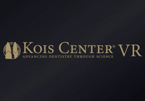 Custom Software Development Package Example: VR Education Platform - Kois Center VR