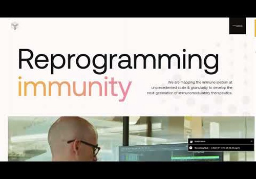 Web Development Package Example: Immunai
