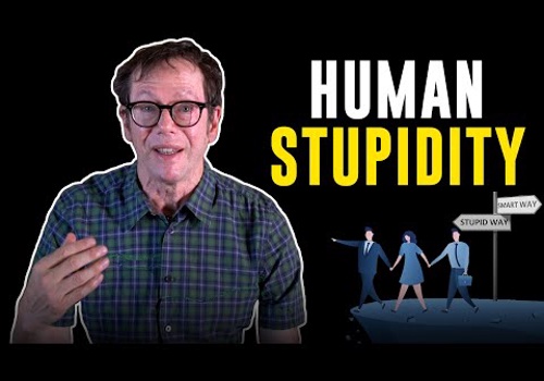 Video Production Package Example: Why Are There So Many Stupid People?