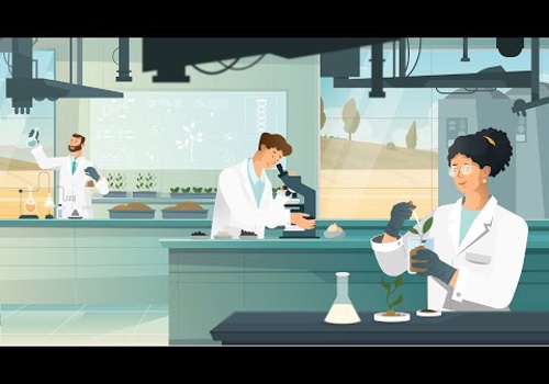 Video Production Package Example: Agriwell - Company Promo Video