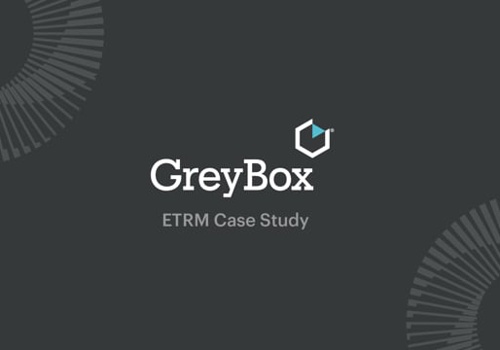Branding Package Example: ETRM Services - Branding Process Glimpse