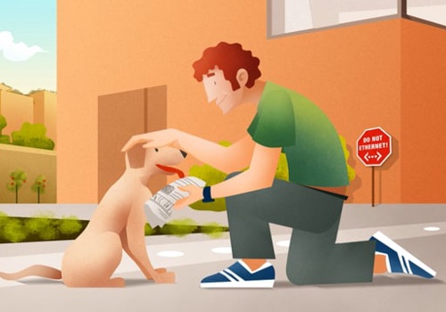 Video Production Package Example: PJON - Networking for a better future