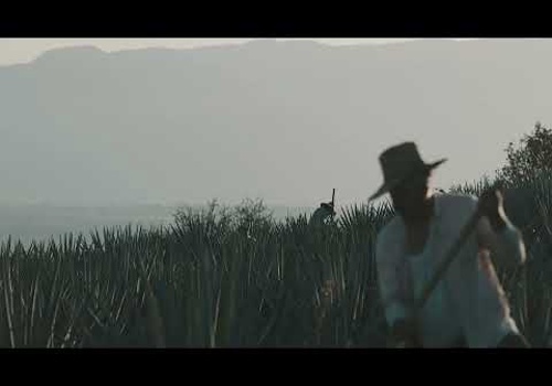 Branding Package Example: Premium Tequila Brand Creation & Management