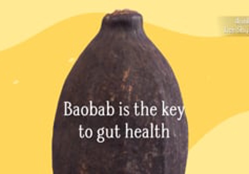 Advertising Package Example: Amina Baobab short-form video