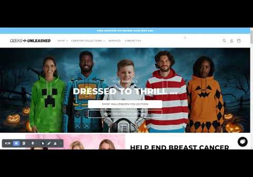 Web Development Package Example: Shopify development