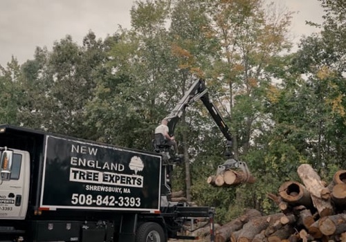 Video Production Package Example: New England Tree Experts - Product Showcase