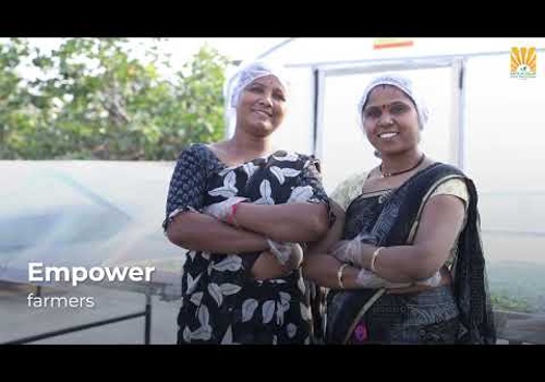 Custom Software Development Package Example: Supply Chain Management - Custom Admin Panel & App