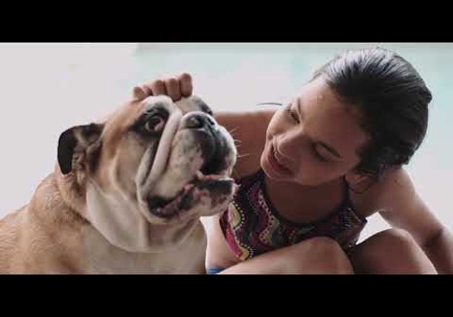 Video Production Package Example: Pet Adoption Appeal: Crafting a Compelling Video