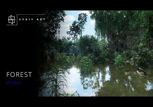 Video Production Package Example: Forest | VR