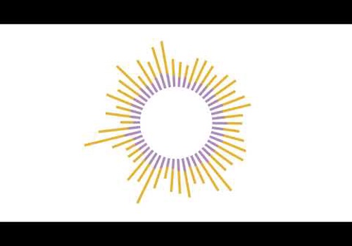 Branding Package Example: The whole American sun in one logo