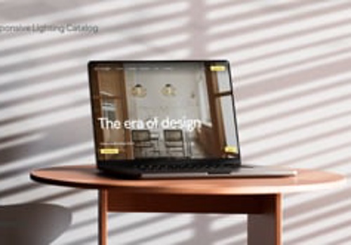 Web Design Package Example: Max-light website