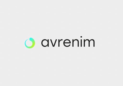 Web Design Package Example: Avrenim Group Limited