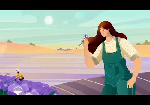 Video Production Package Example: FAAY - Sustainable wall systems